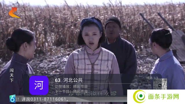 全景TV电视版