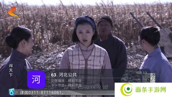 全景TV电视版