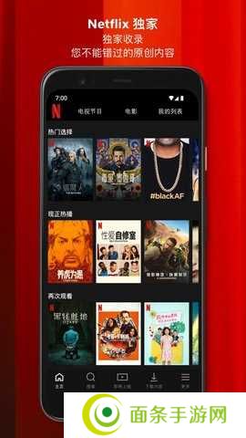 Netflix安卓app