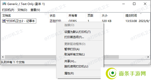 检查打印机队列